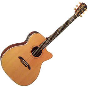 Model:WY1 Virtuoso Weir